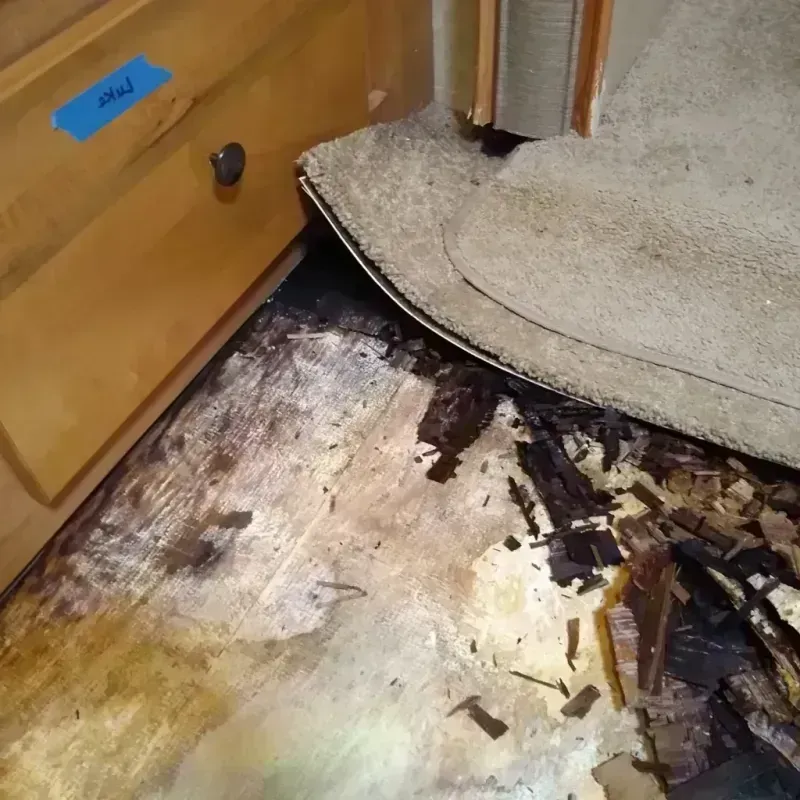 Wood Floor Water Damage in Brunswick, MD